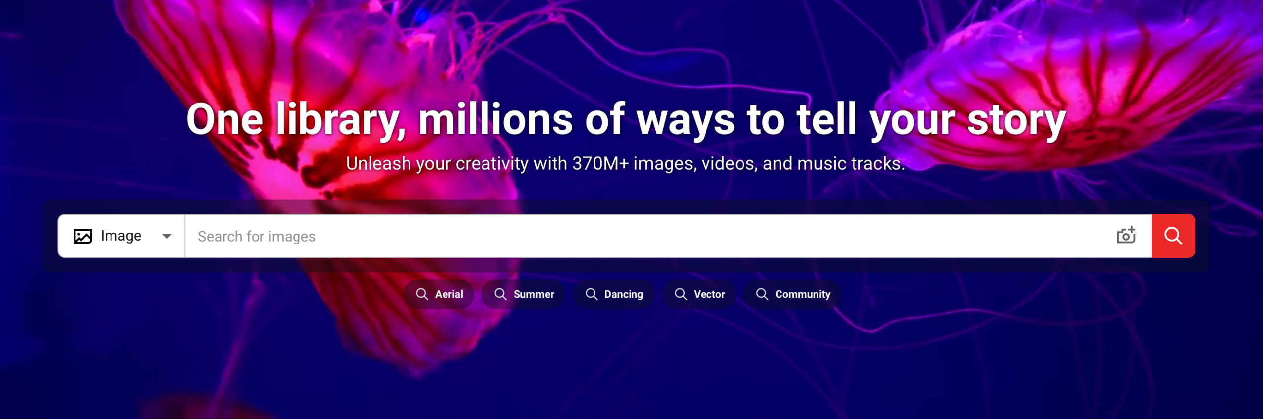 shutterstock royalty free images for websites