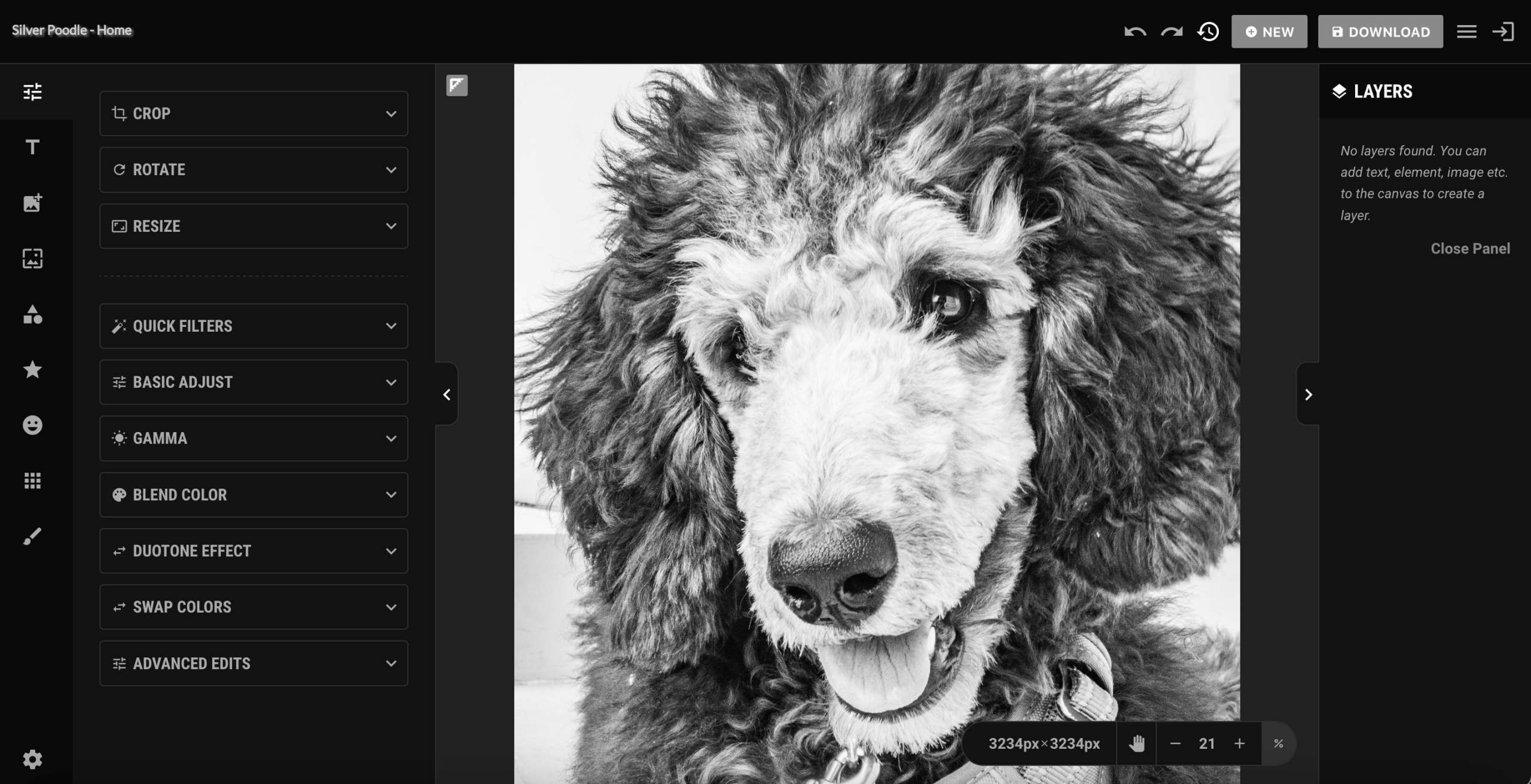Silver Poodle Graphics screenshot