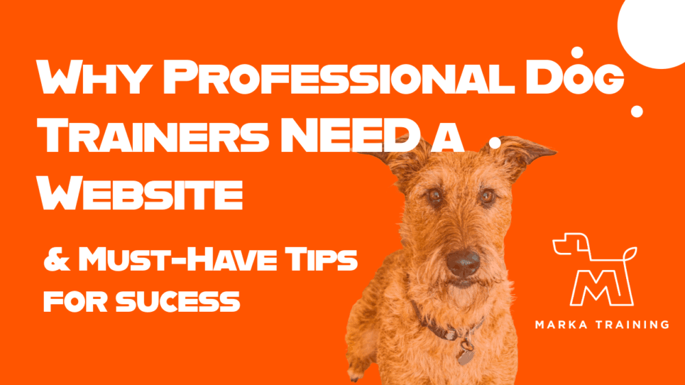 Why Professional Dog Trainers Should Have a Website